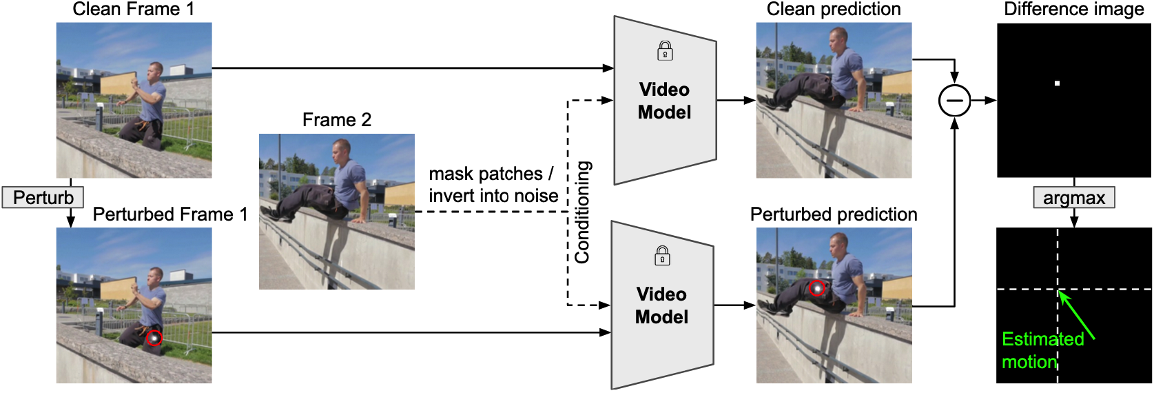 General perturb-and-track method for extractiong zero-shot flow from generative video models.