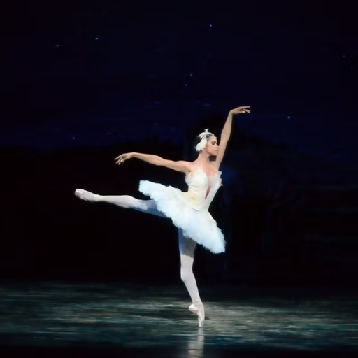 Ballet dancer input frame