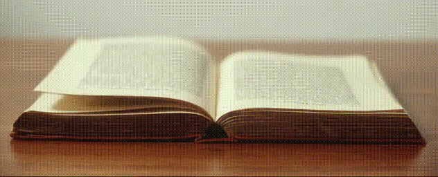 Book page generated rgb1