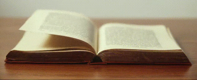 Book page generated rgb2