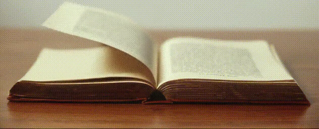 Book page generated rgb3