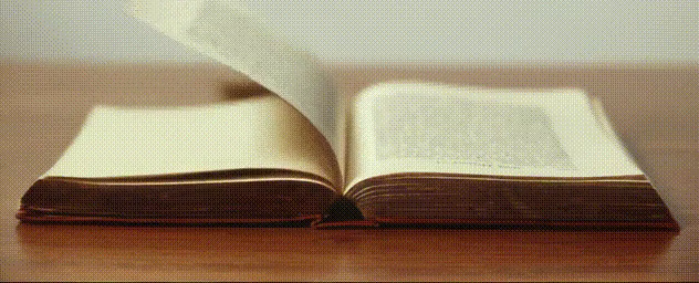 Book page generated rgb4