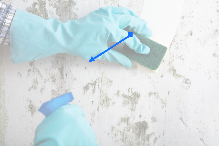 Sparse down-left optical flow prompt for cleaning
