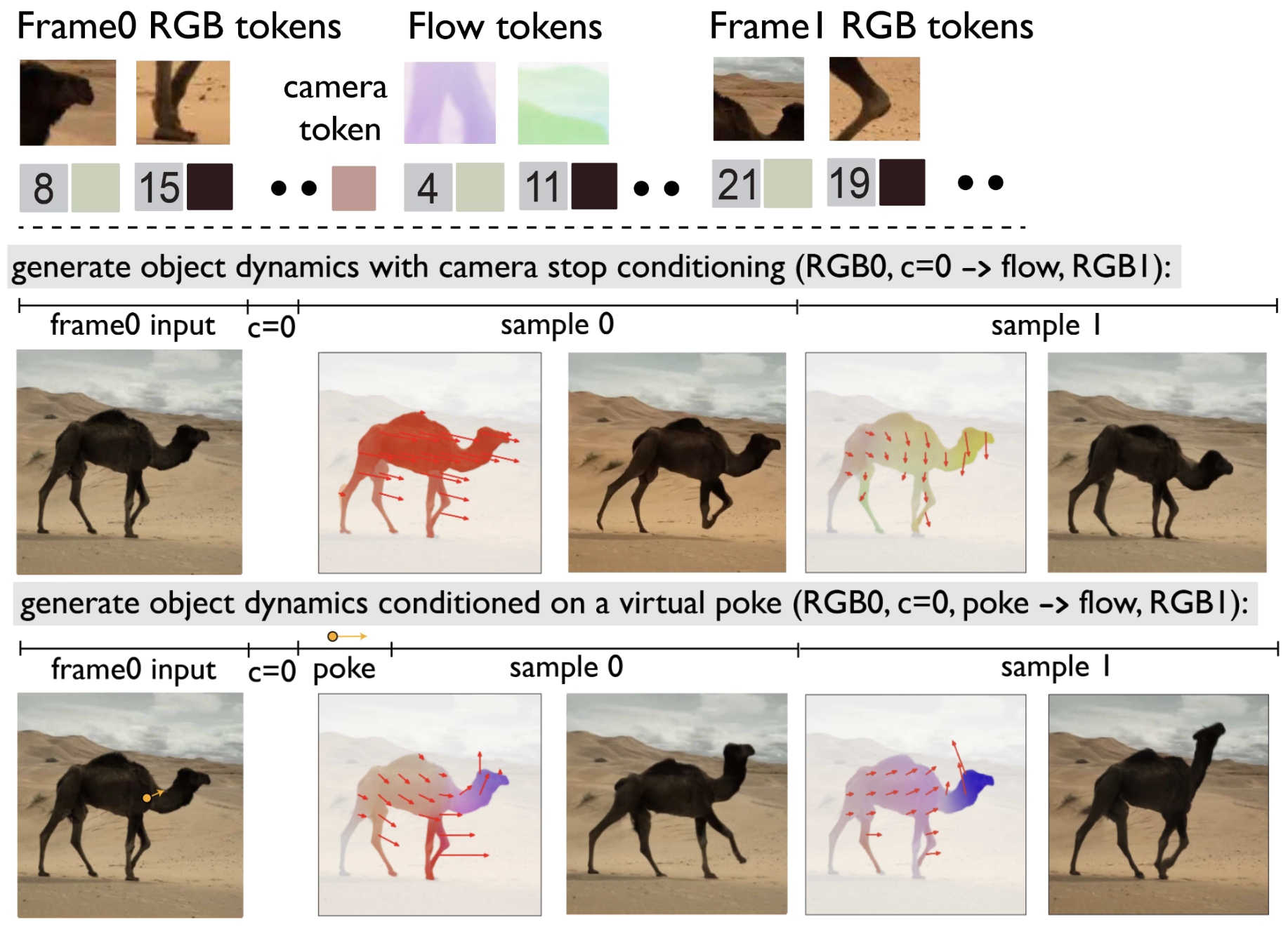 Physical world model: token sequence and inference pathways