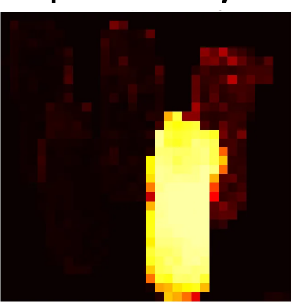 Bottles — Motion probability