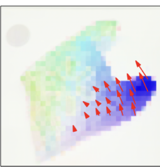 Cloth — Expected motion