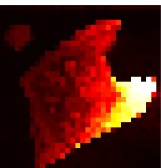 Cloth — Motion probability