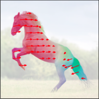 Horse — flow seed 0