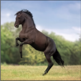Horse — RGB seed 0