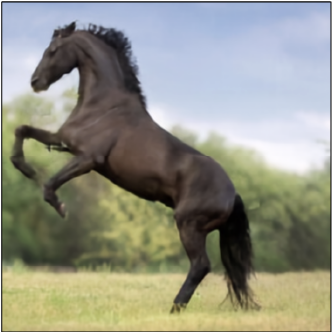 Horse — RGB seed 1