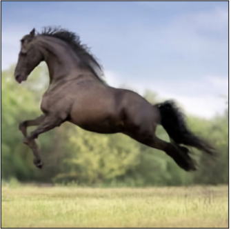 Horse — RGB seed 2